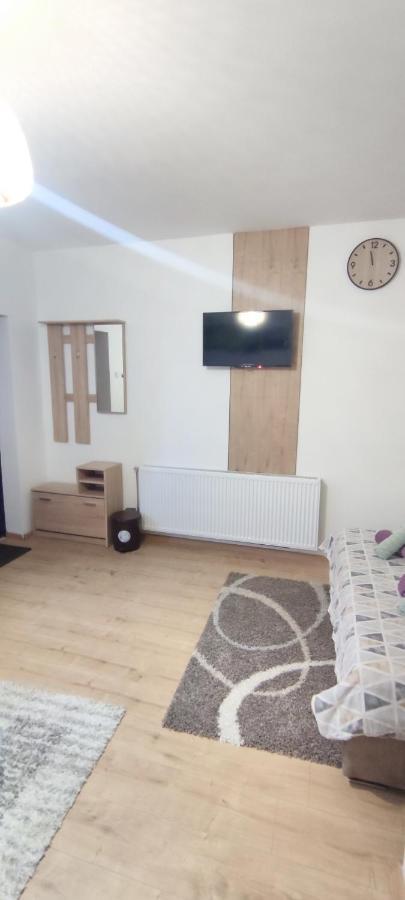 Zen Apartmani ズレニャニン エクステリア 写真