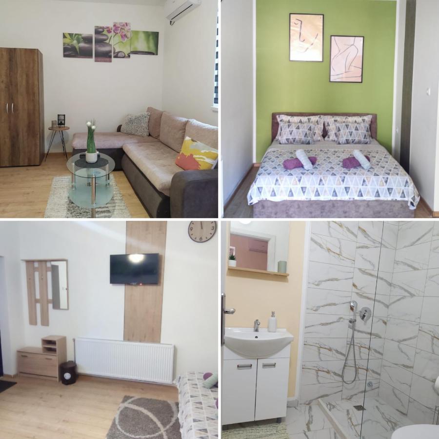 Zen Apartmani ズレニャニン エクステリア 写真
