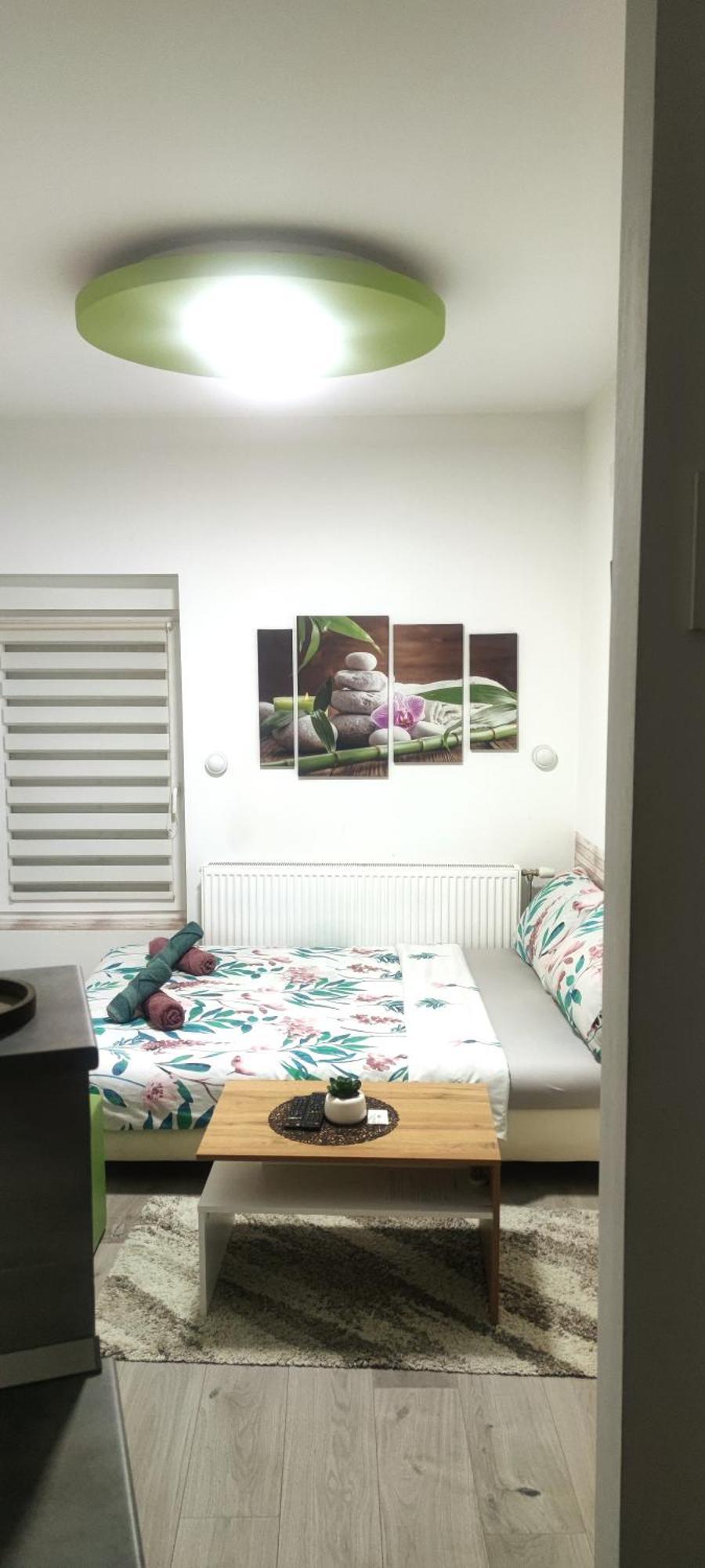 Zen Apartmani ズレニャニン エクステリア 写真